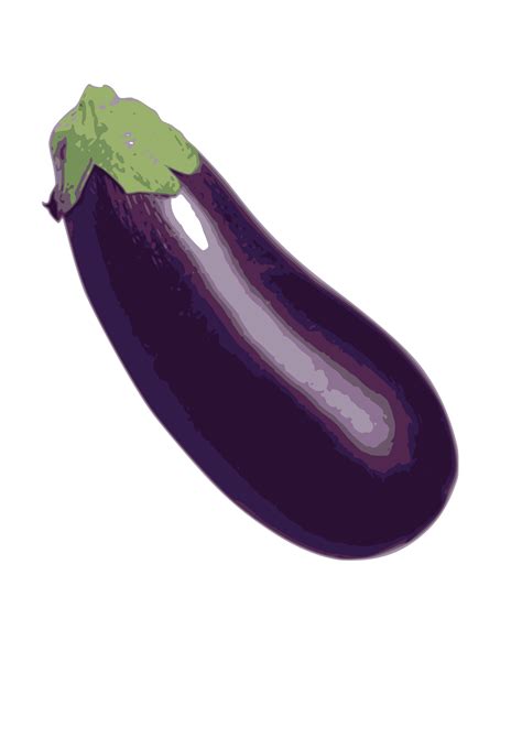 Collection Of Eggplant Hd Png Pluspng