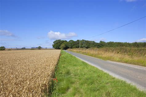 Small Country Road Stock Photo Image Of Yorkshire Landscape 33370458