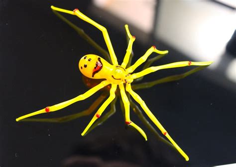 Buy The Happy Face Spiders Theridion Grallator Hawaiian Happy Face