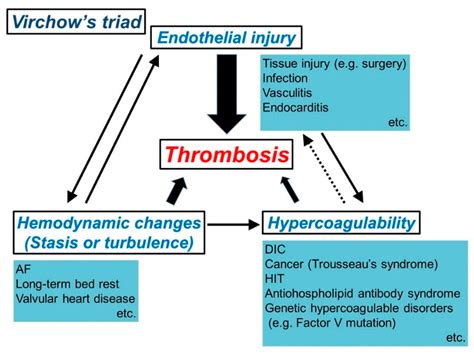Cancers Free Full Text Cerebral Thromboembolism After Lobectomy For
