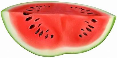 Watermelon Clip Clipart Transparent Oval Fruit Badge