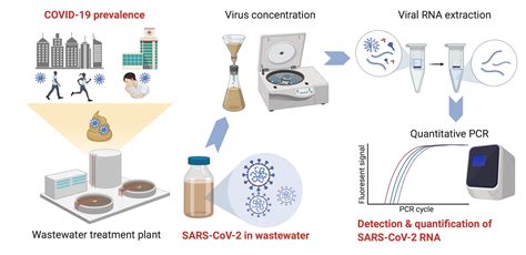 Sars Cov 2 Rna Detected In Untreated Wastewater From Louisiana