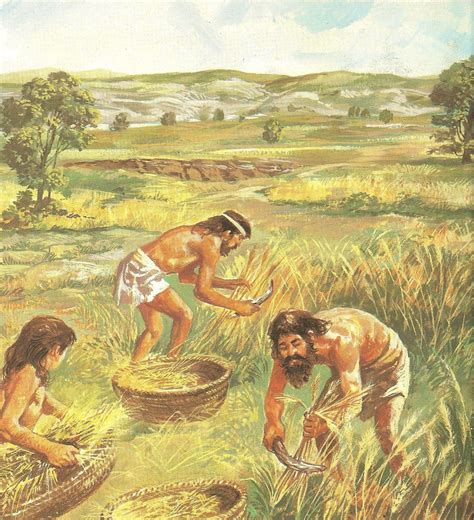 Agricultura Neolitica Archivos De La Historia Tu Página De Divulgación