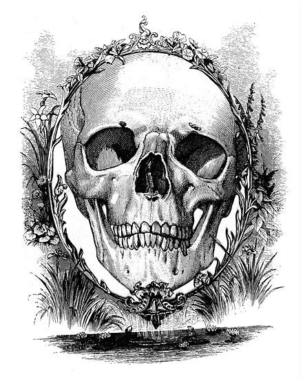 Skull Cameo By Ross Farrell Redbubble