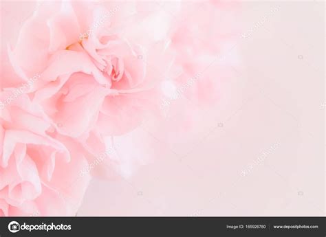 Pink Carnation Flowers Bouquet On Soft Filter Background Stock Photo