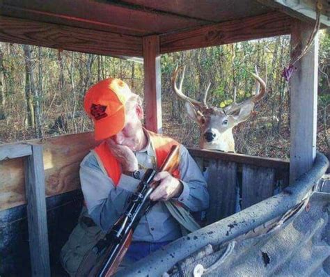 Whoops Lol Funny Hunting Pics Hunting Humor Deer Hunting Humor