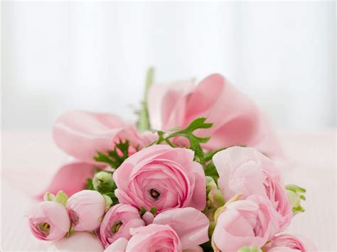 Bouquet Of Pink Roses · Free Stock Photo