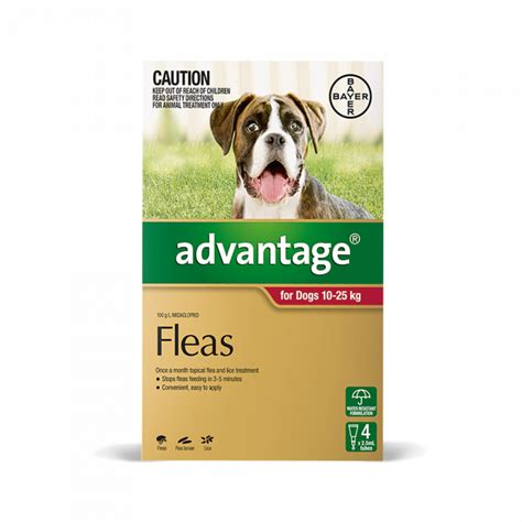 Advantage Spot On Flea Control Treatment For Dogs 10 25kg Dog Haven