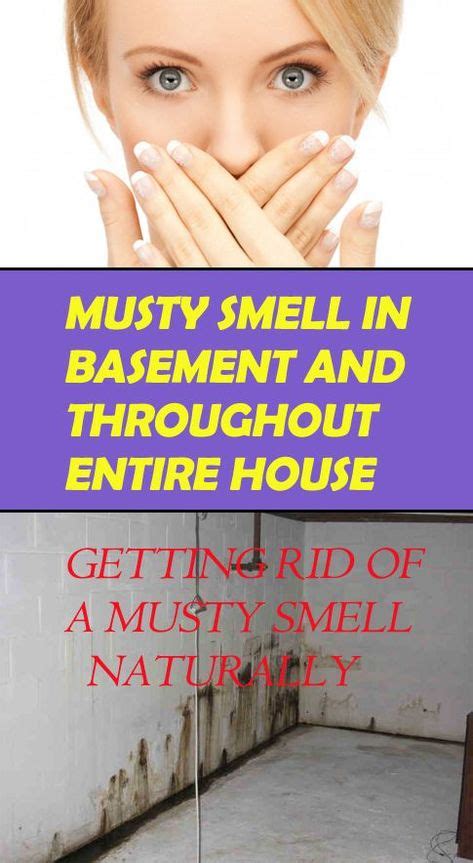 How To Get Rid Of Musty Smell 10 Best Ways For Musty Odor Removal