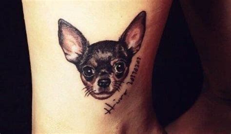 14 Ways To Put Chihuahuas On Your Body Petpress