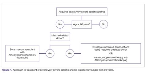 Aplastic Anemia Diagnosis And Treatment Journal Of Clinical Outcomes