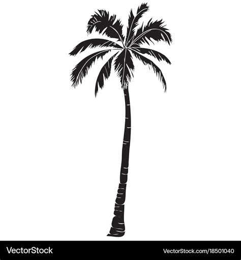 Black Single Palm Tree Silhouette Icon Isolated Vector Image