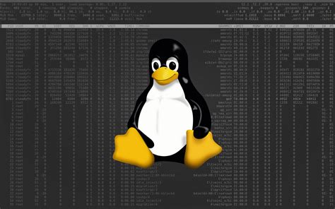 Here Are Top 5 Linux Distros For Developers In 2021 By Kisan Tamang