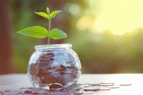 Por eso os presentamos el capital semilla para que conozcáis qué es. 7 fuentes de financiamiento para tu negocio