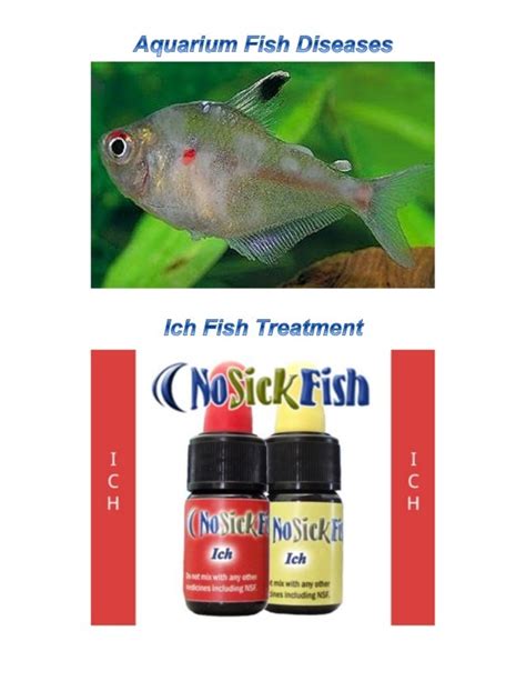 No Sick Fish Tropical Fish Disease And Ich Fish Treatment