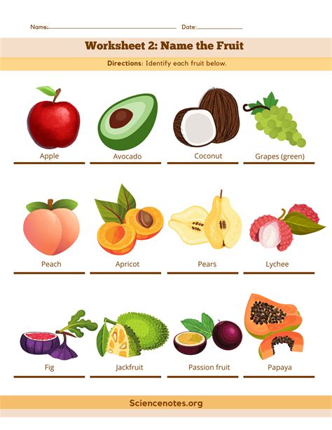 Fruits And Vegetables Worksheets