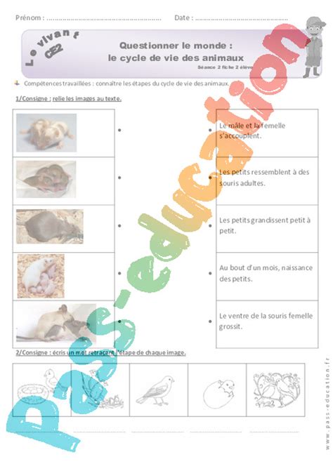 Cycle de vie des animaux Ce2 Fiche de préparation 1 PDF à imprimer