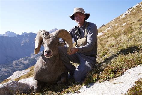 Photo Story Janis Bighorn Sheep Hunt Meateater Hunting