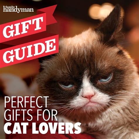 We did not find results for: 12 Perfect Gifts for Cat Lovers | Family Handyman