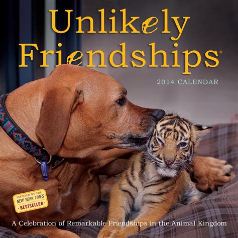 Unlikely Friendships 2014 Calendar £999 Wall Calendar Animals