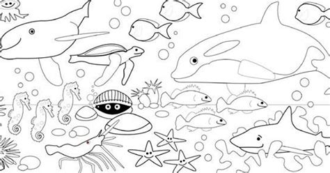 Detail Sketsa Binatang Laut Koleksi Nomer 34