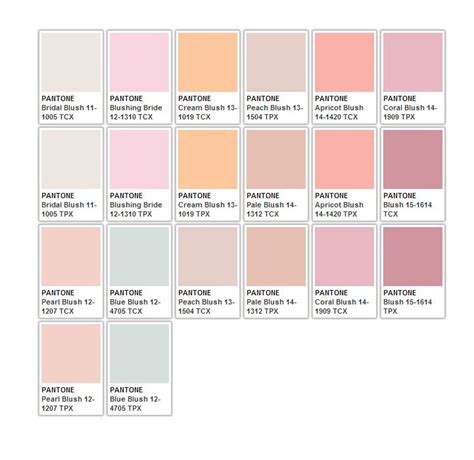 Pinks Stiker Estetika Inspirasi Warna Palet Warna