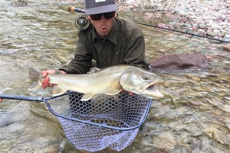 South Fork Of The Flathead River Montana Fly Fishing Experience