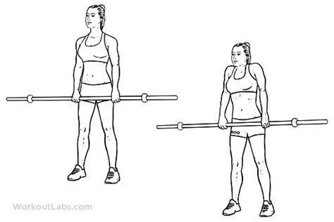 Barbell Shoulder Shrug Illustrated Exercise Guide Workoutlabs