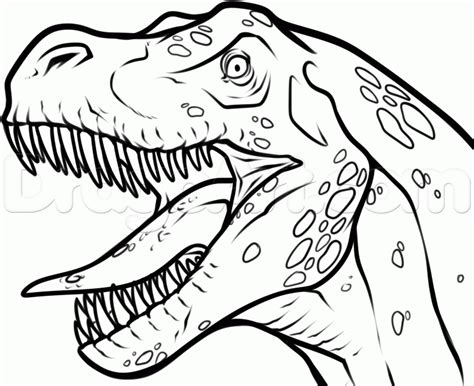 How To Draw A T-rex Head by Dawn | Dinosaur drawing, Drawings, Animal