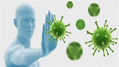 معلومات عن الفيروسات ، أهم خصائصها، أعراض الإصابة بها وطرق الوقاية منها