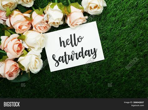 Hello Saturday Card Image And Photo Free Trial Bigstock
