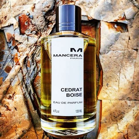 Купить Mancera Cedrat Boise в Армении Lifestyle Perfume