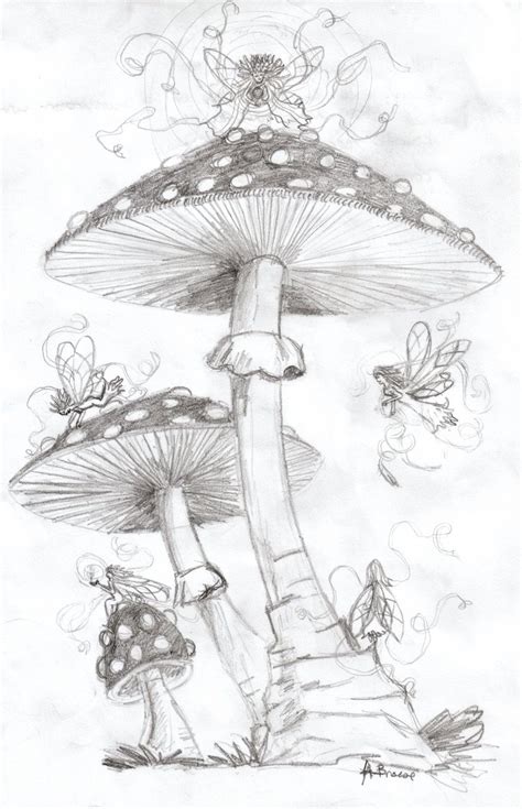 Simple Fairy Mushroom Drawing