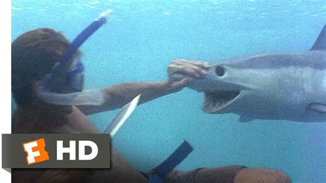 The beach focuses uniquely on the youthful psyche of one man, whose search for adventure outside the 'norm' leads him to what appears to be paradise. The Beach (3/5) Movie CLIP - A Shark Tale (2000) HD - YouTube