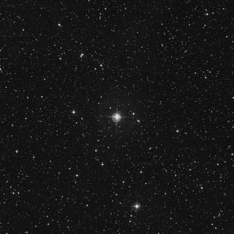 70 Cygni Star In Cygnus