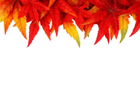Background Autumn Leaves Fall · Free Photo On Pixabay