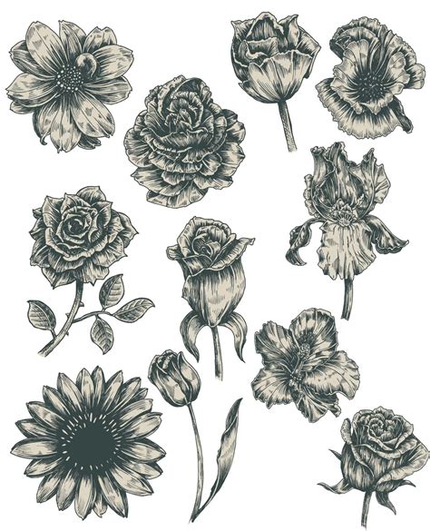 Monochrome Vintage Flowers Vector Free Download