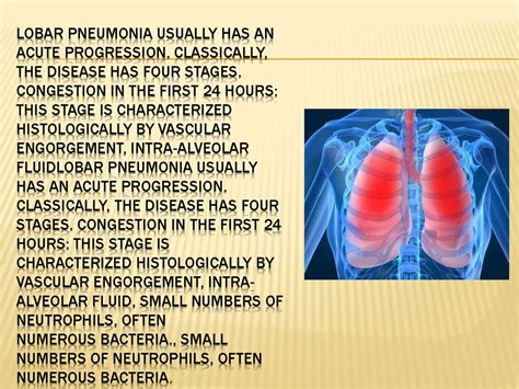 Phases Of Pneumonia