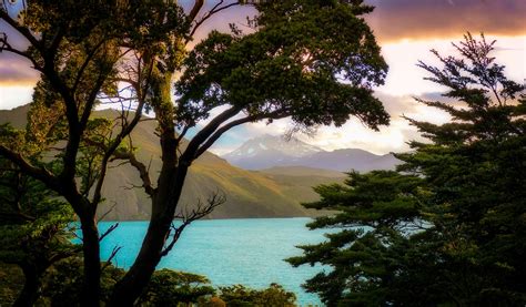 Patagonia Chile Mountains Lake Branches Hd Wallpaper Rare Gallery