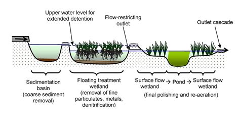 Floating Treatment Wetlands An Innovative Option For Stormwater