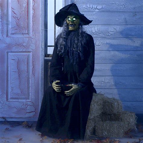 Animated Haunted Witch 35in X 59in Party City Halloween Haunted