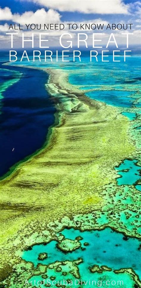 Interesting Facts About The Great Barrier Reef Great Barrier Reef Scuba Diving Quotes Best