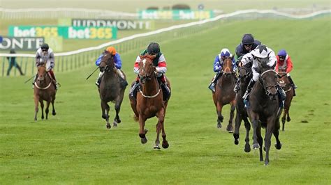 Newmarket Races Top Tips Latest Odds And Betting Preview For Day 1 Of The Future Champions