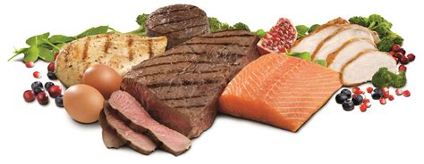 Understanding Protein Carbohydrates And Fats