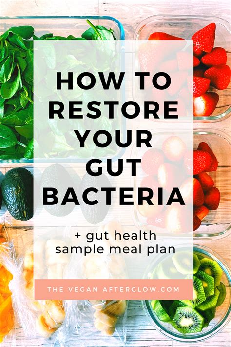 How To Restore Your Gut Bacteria The Vegan Afterglow Healthy Gut Recipes Healthy Gut Diet