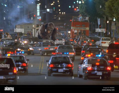 Dec 25 1998 Los Angeles Ca Usa A Scene From Mighty Joe Young