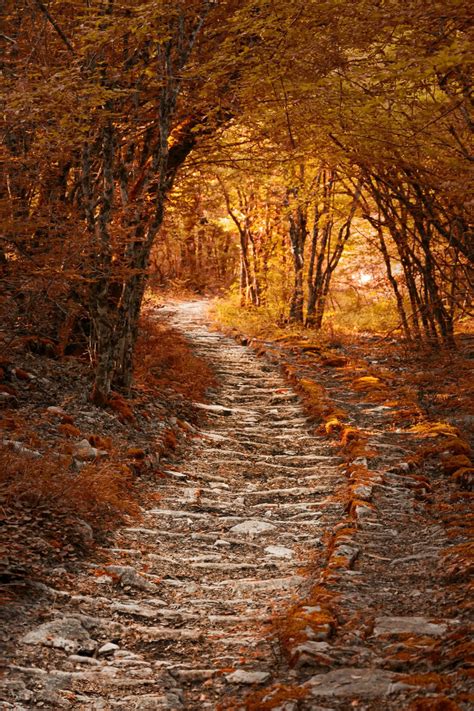 Cuteautumn Autumn Path By Kate Eleanor Autumn Scenery Fall