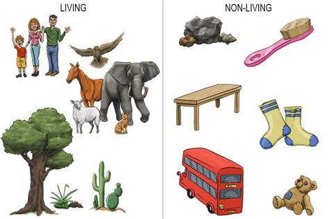 Summary Of Living Things Geography Mammoth Memory Geography