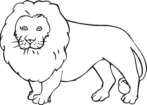 Lion Template Animal Templates Free And Premium Templates