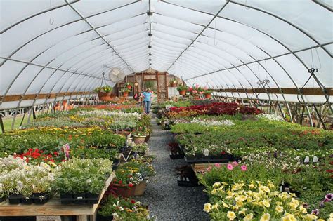 A Complete Guide To Marketing Strategy For Plant Nursery Welp Magazine